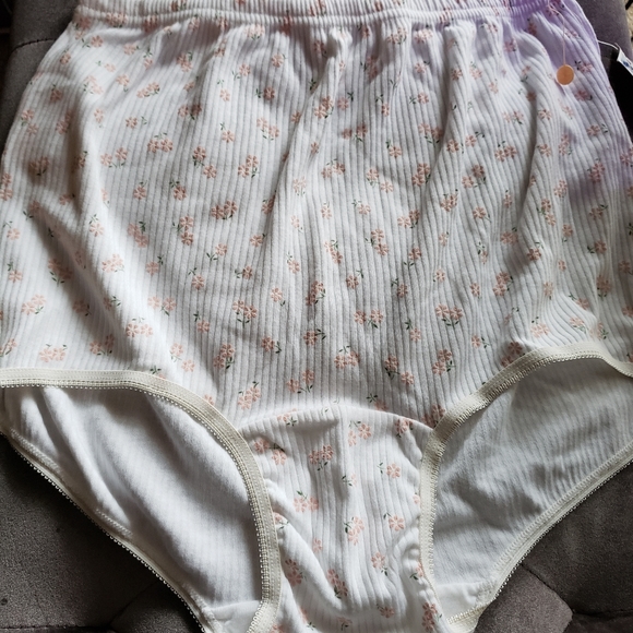 VTG Heavenly Secrets Panties Briefs Sz 10 - Picture 5 of 7